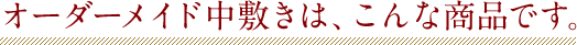 オーダーメイド中敷きは、こんな商品です。